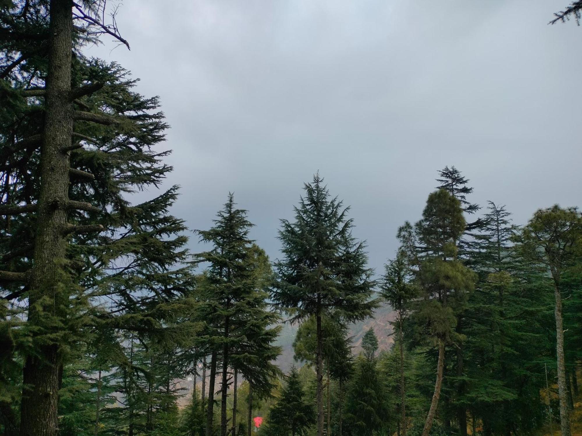 فندق The Alpine Vista المورا المظهر الخارجي الصورة